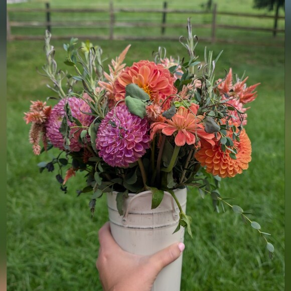 country_life24